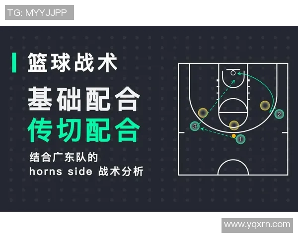 辽宁省有几支CBA球队？本地篮球版图分析